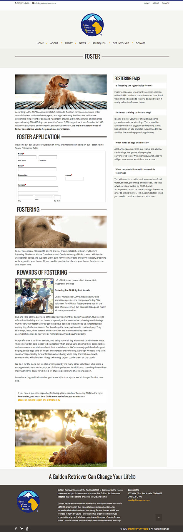 Website Build