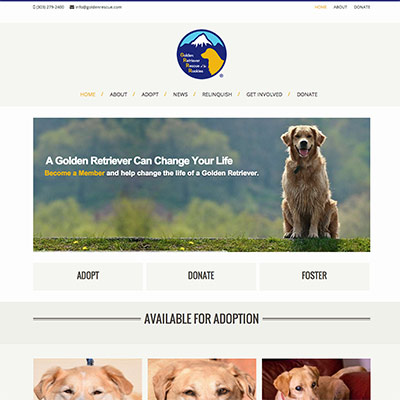 Website Build