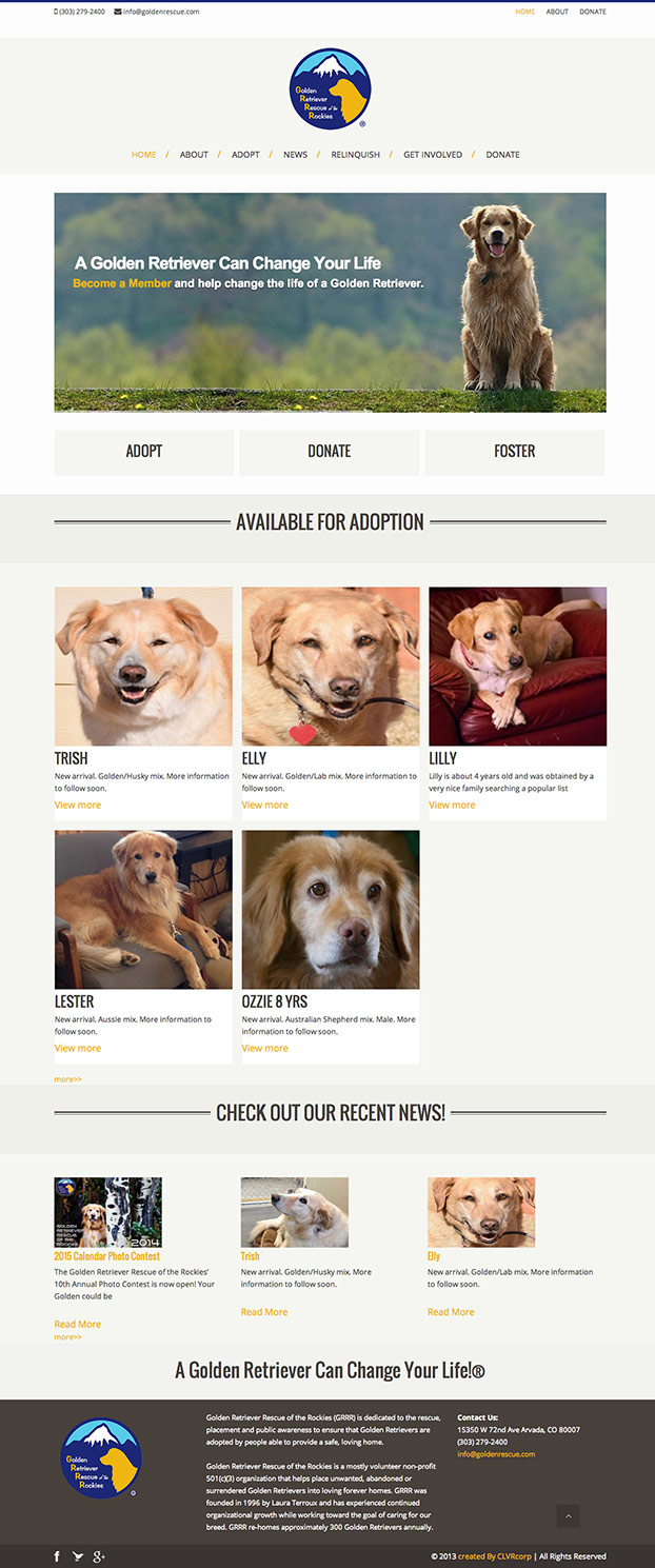 Website Build